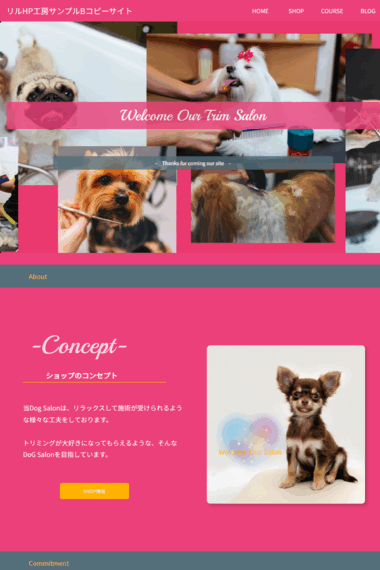 サンプルBのコピーサイト